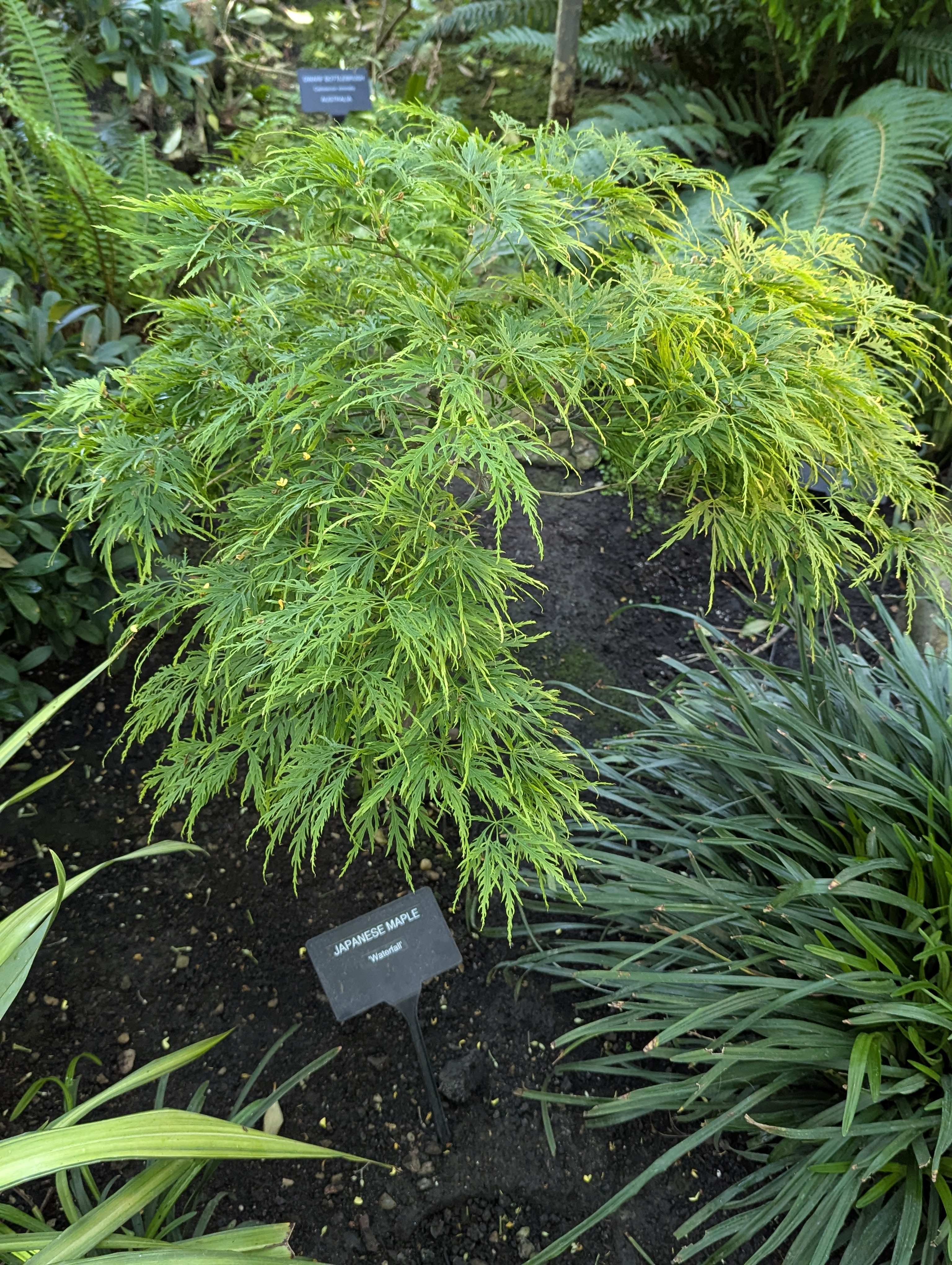 Birthday Trip to Canada, Edmonton, Pyramids, Muttart Observatory